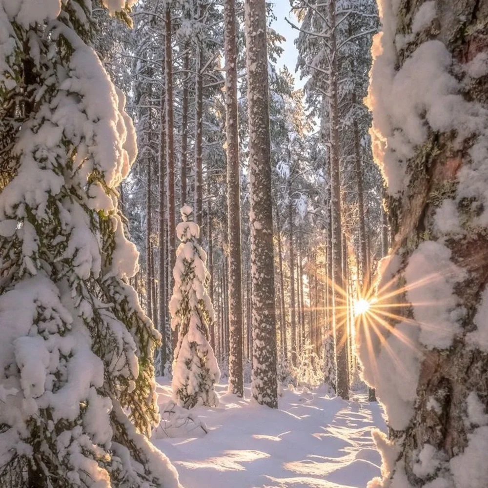 One mystery pick - Picture 10 of 14